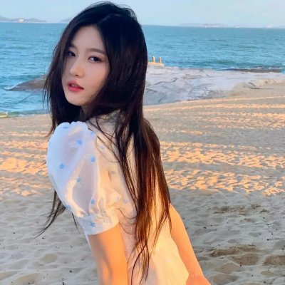 黑皮书
